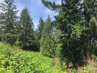 0 E Allynview Dr, Allyn, WA 98524