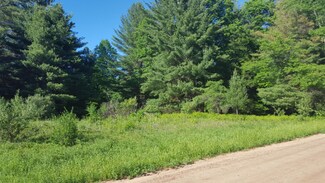 44A E Sippy Rd, Custer, MI 49405