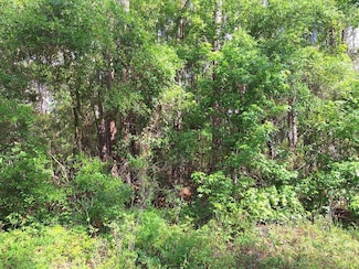 Lot 38 NE 512th St, Old Town, FL 32680