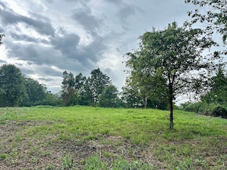 2464 Lycans Ridge Rd, Genoa, WV 25517