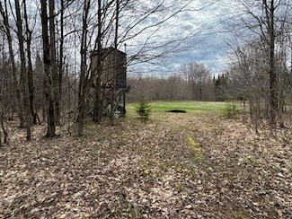 00 Tee Lake Rd, Germfask, MI 49836