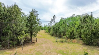 2026 Florida 22, Wewahitchka, FL 32465