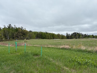 9+ acres Hwy 17, Rhinelander, WI 54501