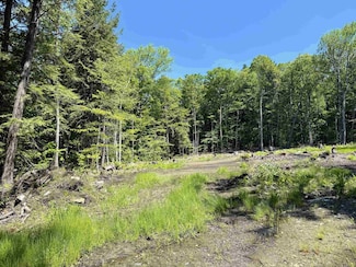 585 Sawmill Rd, Stratton, VT 05360