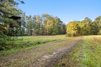 527 Acres Spring Grove Rd, Adams Run, SC 29426