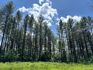 1174 William Ernst Rd, Lewis, NY 13489