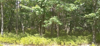 MVII 262 Big Mountain Ln, Hazle Township, PA 18202