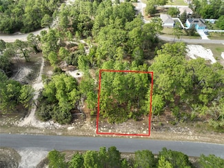 1921 W Riley Dr, Citrus Springs, FL 34434