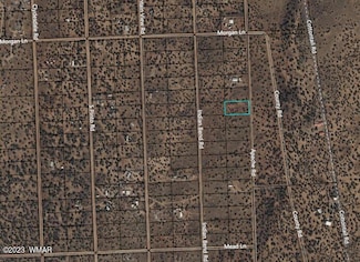 4372 Apache Rd, Snowflake, AZ 85937