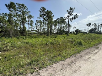 29528 Clara Dr, Punta Gorda, FL 33982