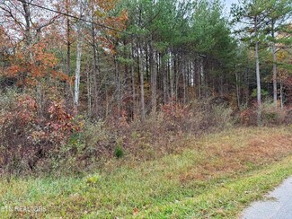 0 Airport Rd, Rockwood, TN 37854