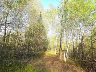 000 Starch Rd, Bruno, MN 55712