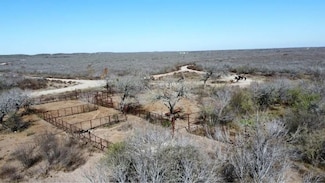 0 Persimmon Dr, Freer, TX 78357