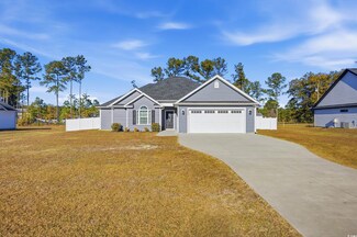 2295 Vaught Rd, Galivants Ferry, SC 29544