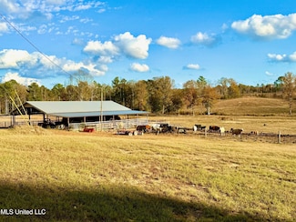 0 Zion Rd Unit 4132047, Walnut Grove, MS 39189