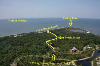 173 Lightning Bug Ln, Saint Teresa, FL 32358