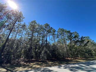 6096 W Ponderosa Place, Beverly Hills, FL 34465