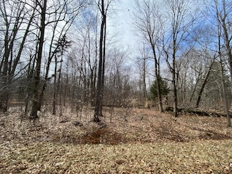 912 Wadi Rd W, Pocono Lake, PA 18347