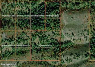 4802,4520 Blake Creek Rd, St. Maries, ID 83861