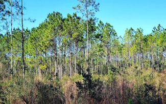 0 Rick Rd Unit 114446, Perry, FL 32347