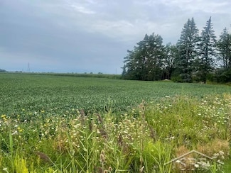 v/l Parcel C N Portsmouth Rd, Buena Vista Charter Township, MI 48601