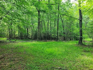 10334 Mill Creek Rd, Bent Mountain, VA 24059