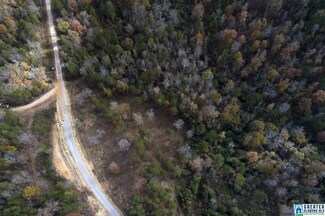 1578 Mcconnell Ln Unit 10, Mount Olive, AL 35117
