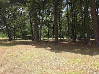 208 Mountain View Dr, Daingerfield, TX 75638