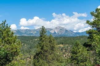 600 Morning Star Dr, Durango, CO 81303