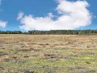 0 Tbd Mike Rogers Farm Rd Unit LotWP05D, Clio, SC 29525