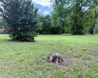0 Page St, Dothan, AL 36303