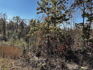 49 Ridge Top Rd, Stewart, TN 37058