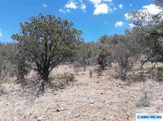 4746 N Swan St, Silver City, NM 88061