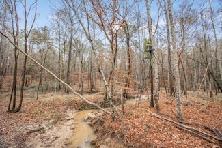 0 Rogers Rd, Saint Francisville, LA 70775