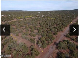 3076 Acr Lot 1, Vernon, AZ 85940
