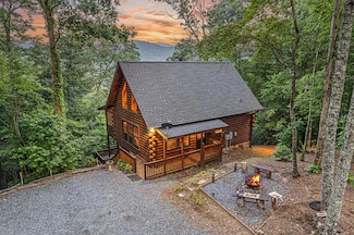 20 Dean Ct, Cherry Log, GA 30522