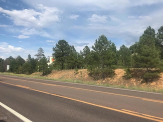 1781 W Deuce of Clubs, Show Low, AZ 85901