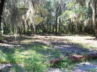 633 Mc Clure St, Welaka, FL 32193