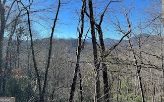 LOT 33 Fodder Creek Mill Dr, Hiawassee, GA 30546