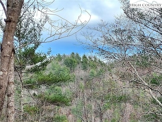 54 W Ridge Dr, Ferguson, NC 28624