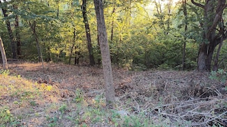 25 Harbor Pointe Dr, Silver Point, TN 38582