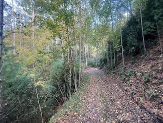 6 Dividing Ridge Trail Unit 1, Arden, NC 28704