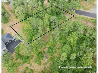 0 Coyote Ct Unit 46 24580000, Mosier, OR 97040