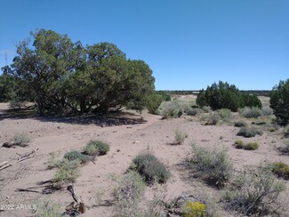 4017 Sorrel Rd Unit 190, Snowflake, AZ 85937