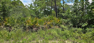 Lot 24 Elm St, Santa Rosa Beach, FL 32459