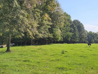 248 Tract A - Joe Hilton Rd, Higgston, GA 30410