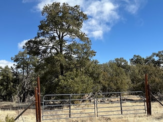 32 Triangle Dr, Fence Lake, NM 87315