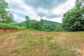 1433 Crabtree Mountain Rd, Clyde, NC 28721