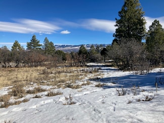 1254 Marmot Dr Unit Lot 219, Ridgway, CO 81432