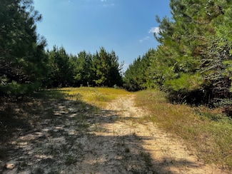 0 Mississippi 514 Unit LotWP001 20680961, Stonewall, MS 39363